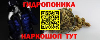 стафф Бузулук