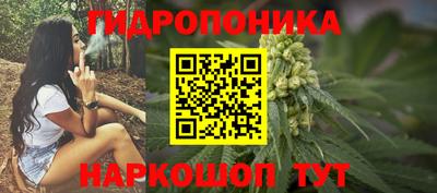 стафф Бузулук