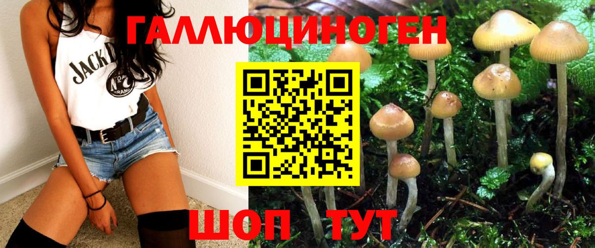 Нерюнгри  Галлюциногенные грибы ЛСД  Вход с VPN 
